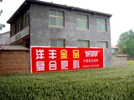 福清如何让墙体广告展现最大化效果
