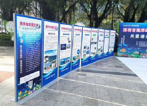 福清KT板的种类和知识。